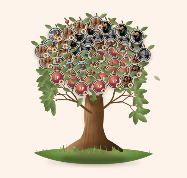 Árvore da Vida, uma das formas de reunir os recados